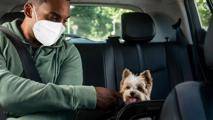 Už i vaši mazlíčci se mohou svézt Uberem. Přepravní společnost vyslyšela žádosti zákazníků