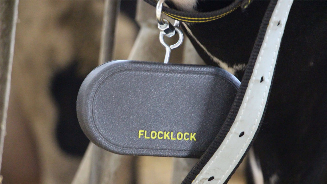 Chytré známky pro dobytek FlockLock