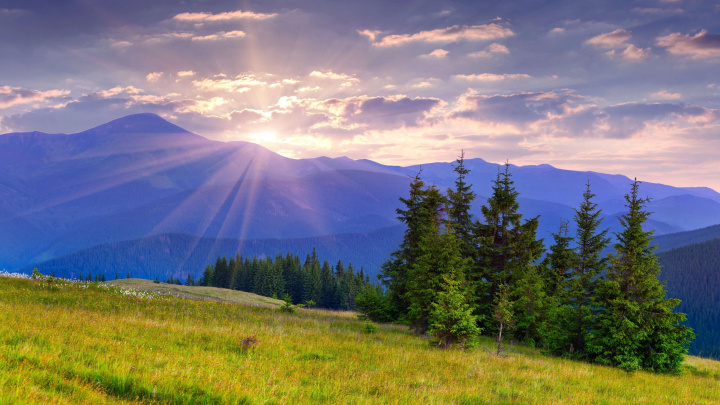 Nová služba MeteoSource předpovídá výrobu sluneční a větrné energie pro domácnosti