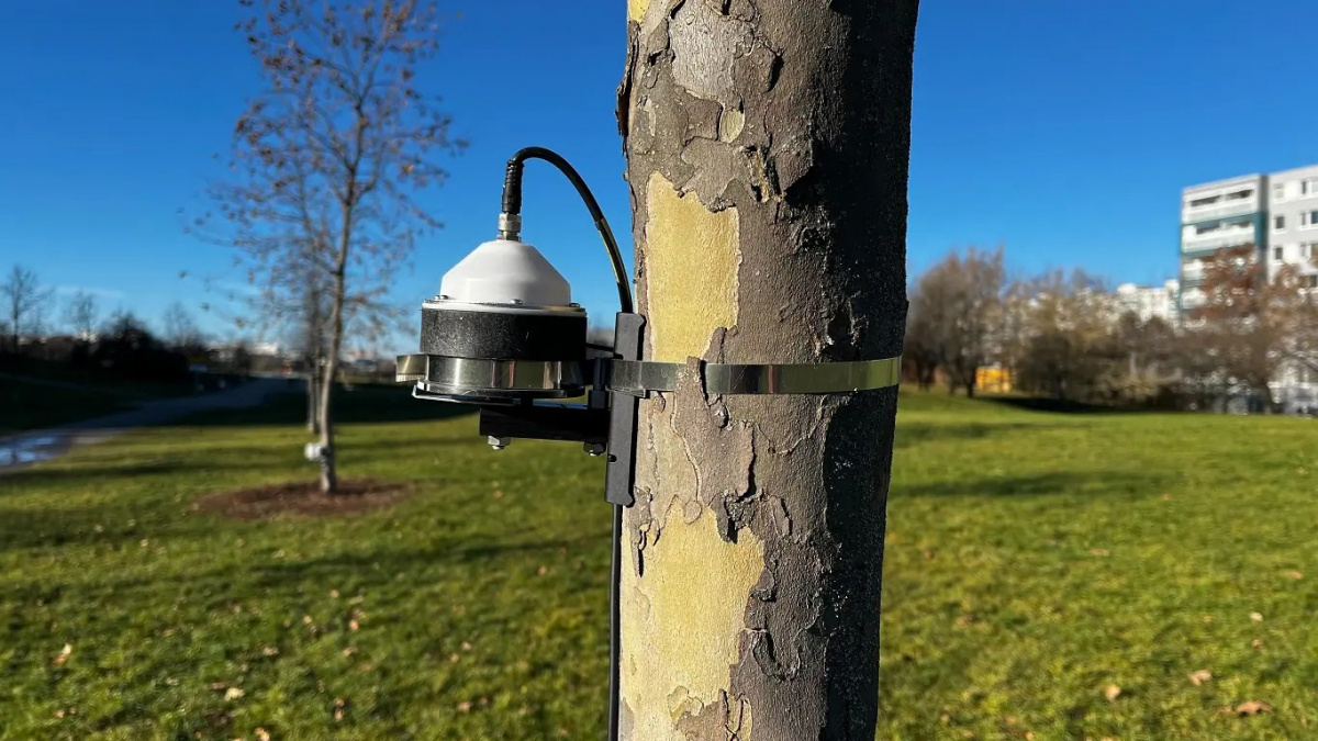 Systém Agdata City nově sleduje stav městské zeleně pomocí dendrometrů, obce mohou ušetřit až statisíce na údržbě i výsadbě